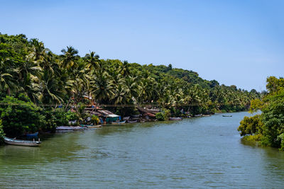 Scenic view of river against clear sky