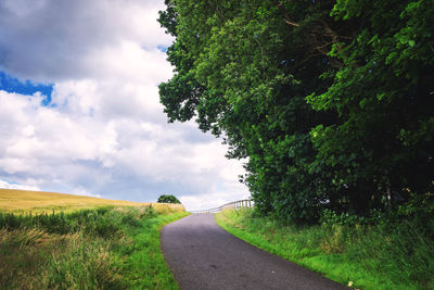 Road amidst trees on field against sky