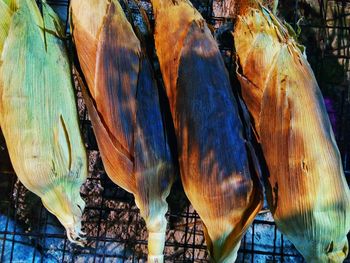 Close-up of fish for sale in market