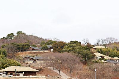 Houses and trees against sky