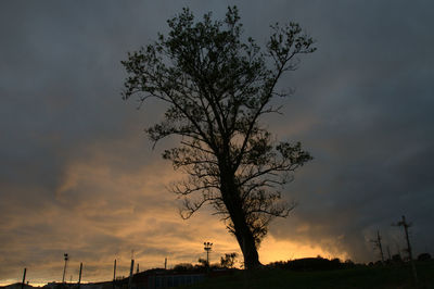 Low angle view of silhouette tree against sky at sunset
