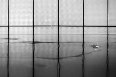 Reflection of tiles in swimming pool