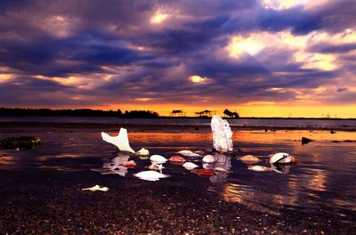 Swans on lake against sky during sunset