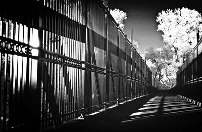 Walkway leading to building