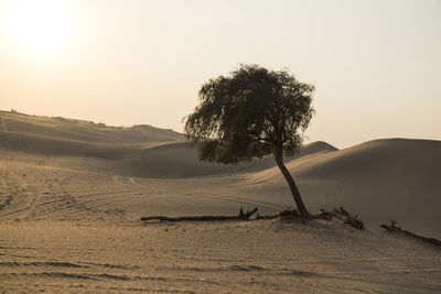 Scenic view of desert against sky during sunset