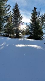 Scenic view of snow covered landscape