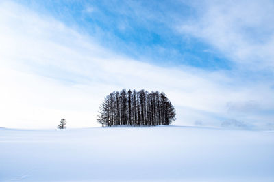 Trees on snow covered field against sky