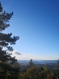 High angle view of trees on landscape against blue sky