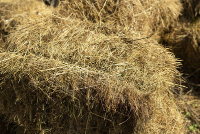 High angle view of hay bales on field