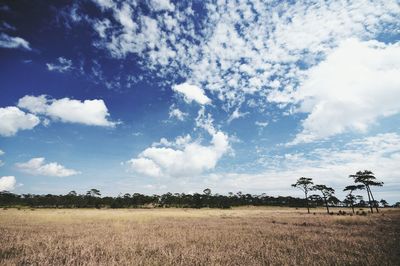 Scenic view of field against cloudy sky