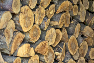 Full frame shot of firewood