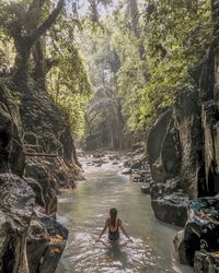 Rear view of woman in river at forest