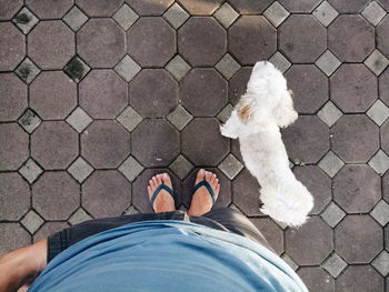 Low section of man with dog standing on cobblestone