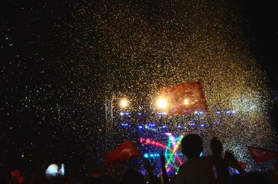 Group of people at concert