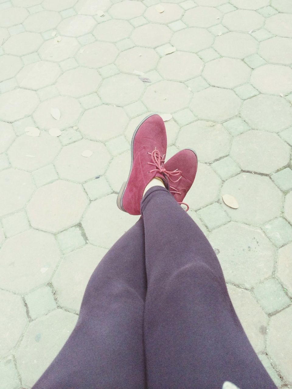 high angle view, flower, red, petal, shoe, pink color, standing, low section, fragility, day, leaf, outdoors, pattern, shadow, close-up, directly above, cobblestone, street