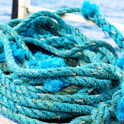 Close-up of blue rope