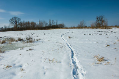 Snow covered field against sky, animal path on the meadow