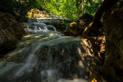 Scenic view of waterfall in forest