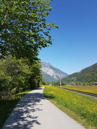 Road amidst plants and trees against blue sky