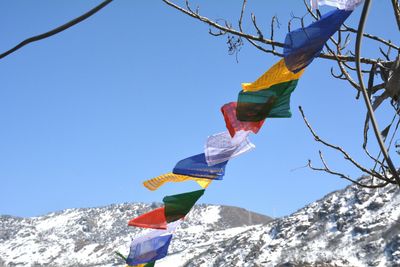 Low angle view of flags against clear blue sky