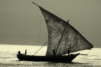 Sailboat sailing on sea against sky