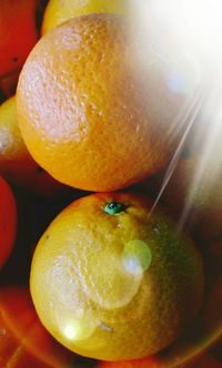 Close-up of oranges