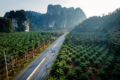 Road amidst trees against sky