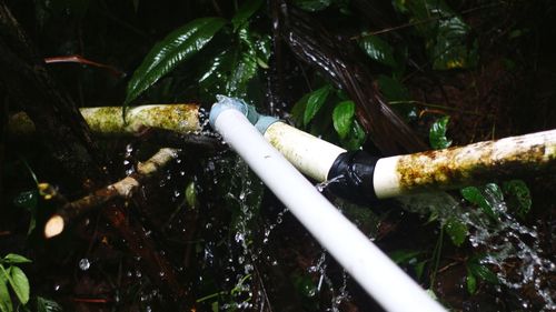 Close-up of cigarette against plants