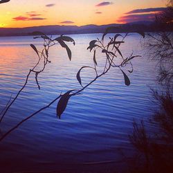 Scenic view of lake at sunset