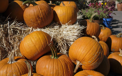 Pumpkins for sale at market stall