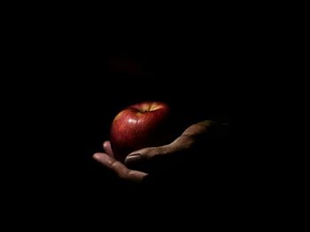 Close-up of hand holding apple