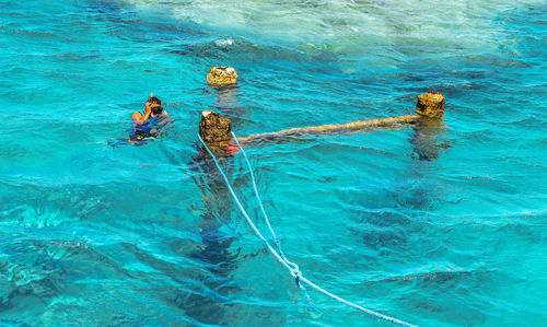 High angle view of men swimming in pool