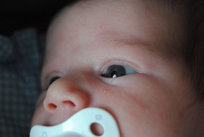 Close-up of cute boy sucking pacifier