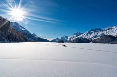 Panorama of lake sils, in engadine, switzerland, frozen and snowy, and the mountains above.
