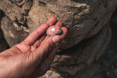 Cropped hand of person holding coins