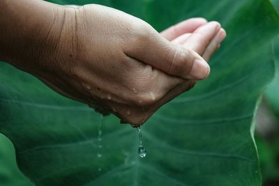 Close-up of water drops on hand