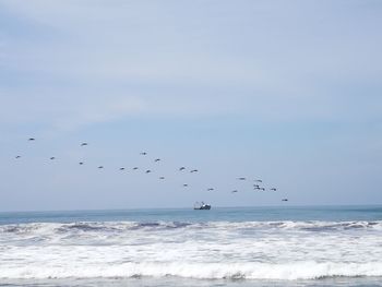 Birds flying over sea against sky