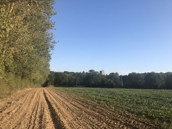 Scenic view of agricultural field against clear sky
