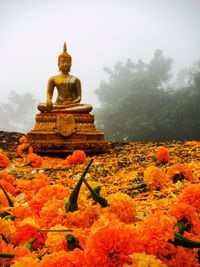 View of temple in foggy weather