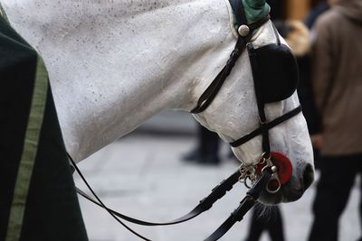 Close-up of man wearing mask