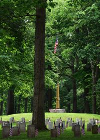 People at cemetery against trees