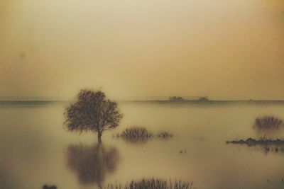 Scenic view of lake against sky during foggy weather