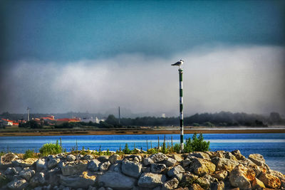 Street light by sea against sky