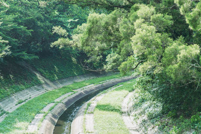 Panoramic shot of road amidst trees