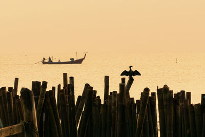 Silhouette of man sailing on sea