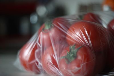 Close-up of tomatoes in plastic bag