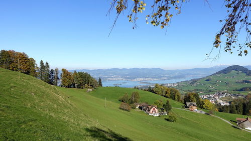 Scenic view of landscape against clear sky