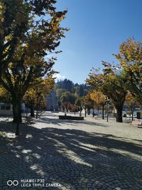 Trees in park against sky during autumn