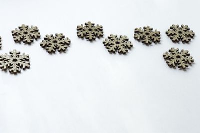 High angle view of plants against white background