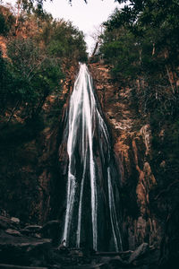 View of waterfall in forest